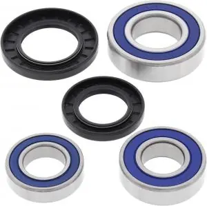 Speciale Aanbieding All Balls achterwiel lager set 25-1634