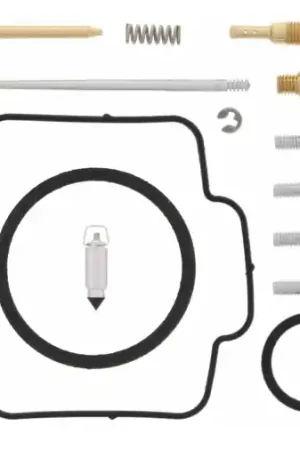 Beperkt Aanbod CARBURETOR REBUILD KIT 26-1159