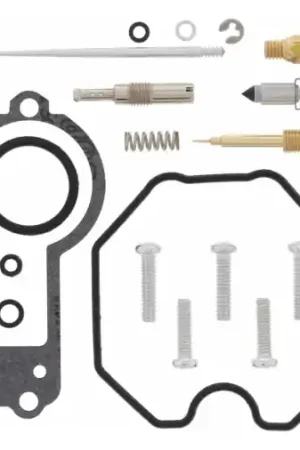 Bestel Nu CARBURETOR REBUILD KIT 26-1161