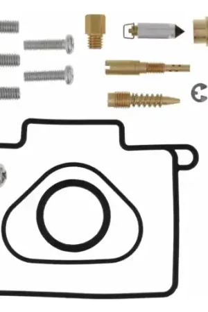 Beperkte Voorraad CARBURETOR REBUILD KIT 26-1123