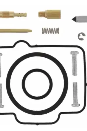 Weekendaanbieding CARBURETOR REBUILD KIT 26-1166