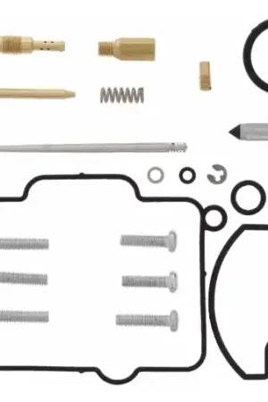 Beperkt Aanbod CARBURETOR REBUILD KIT 26-1176