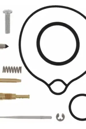 CARBURATOR REBUILD KIT COMPLETE 26-1238 Rechtstreeks Van De Fabrikant