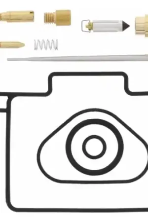 Alleen Vandaag CARBURETOR REBUILD KIT 26-1503