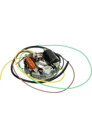 Hete Deal ontsteking DMP mod. bosch 6v 15/5-3W past op kreidler, puch, zundapp