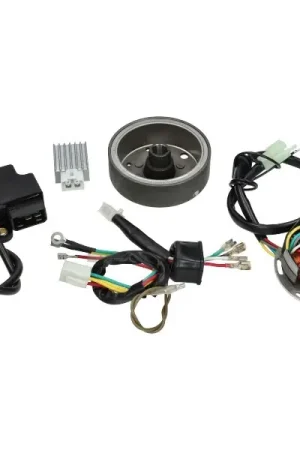 DMP electr. ontsteking mod. bosch 6volt past op kreidler, zundapp Veilige Betaling