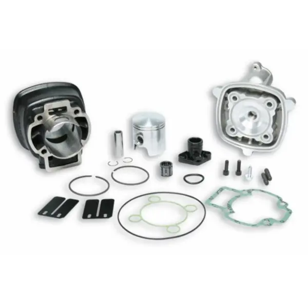 cilinder met kop malossi 47mm past op sco piaggio lc 317353 Lage Kosten