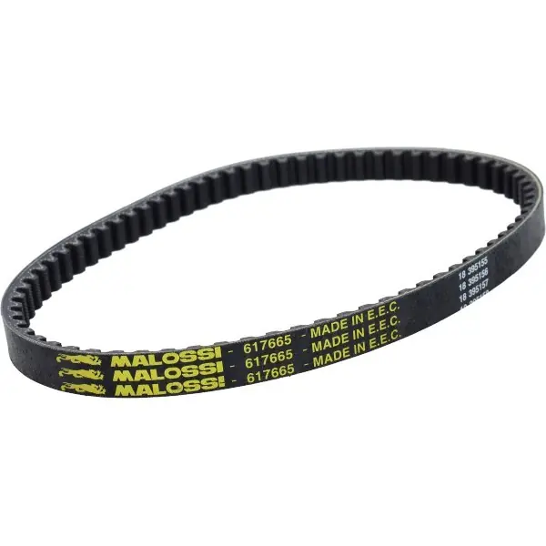 v-snaar malossi kevlar past op et2, zip sp, quartz, zip fr 617665 Koopje
