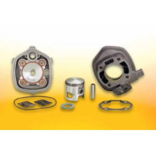 Koop Online cil+kop malossi 47mm past op katana lc, sr2000 319541