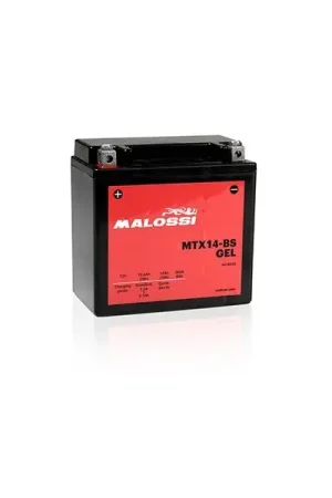 accu malossi MTX14-BS gel 4418923 Meest Verkocht
